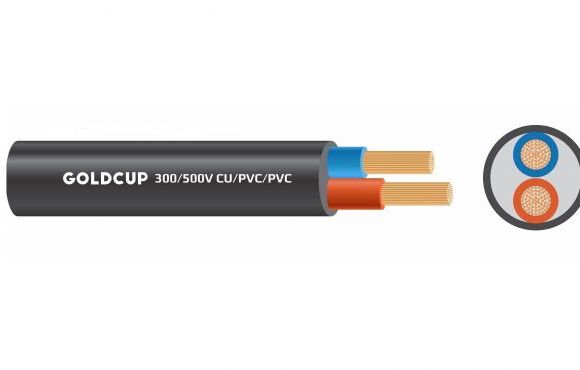 Dây điện 2 lõi ruột mềm bọc cách điện PVC 300/500V - Cu/PVC/PVC