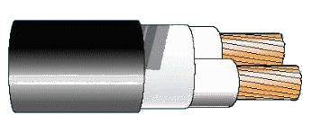 Cáp chống bén cháy theo IEC 60332-1, 0.6/1(1.2)kV, ruột đồng, 2 lõi, cách điện XLPE, không giáp